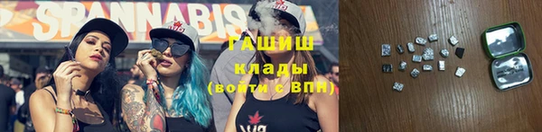 крисы Алексин