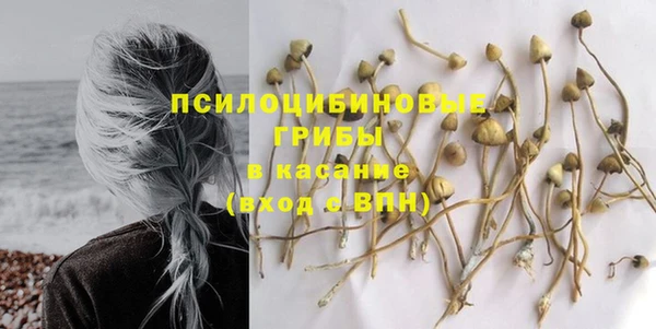 марки nbome Алексеевка